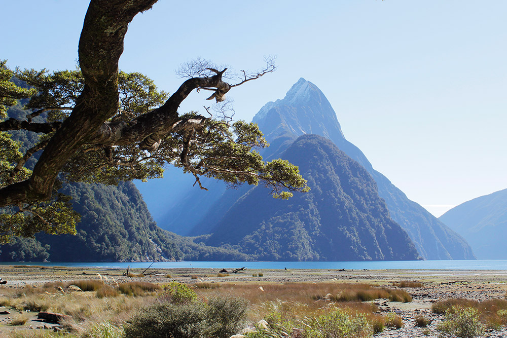 Berge und Wasser - Tolle Fotos von Neuseelands vielfältiger Landschaft und Flora und Fauna vom Fotografen und Grafikdesigner Markus Wülbern